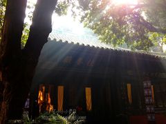 景点-七曲山风景区