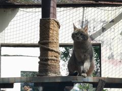 -青藏高原野生动物园