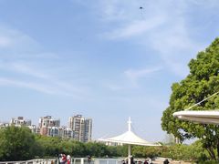 -新江湾城公园