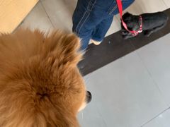 -爱侣宠医·鹦鹉专科·小型哺乳类·异宠专科(灵石路店)