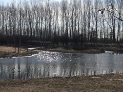 -东郊湿地公园