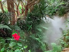 -南通洲际绿博园