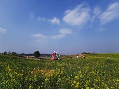 -空港花田景区