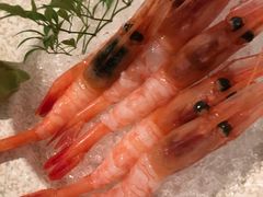 北极甜虾-酒井酱子·深夜食堂(东城汇店)