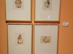 -江苏省美术馆(长江路新馆)