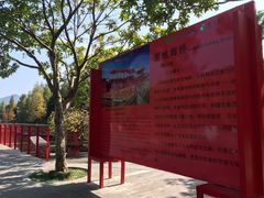 湿地廊桥-东部华侨城