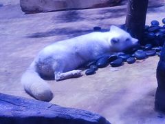 -上海海昌海洋公园