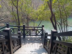-白马涧龙池景区