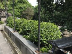 -鸿恩陶然大观园