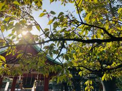 -上野公园花园稻荷神社(忍岡稲荷神社)