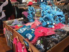 -怀托摩萤火虫洞