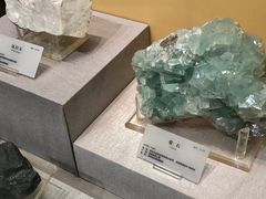 -湖南省地质博物馆