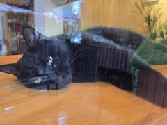 -萤火虫咖啡(后海店)