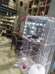 前台-Hair house发舍