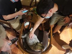 -H立方实景剧情密室(天河旗舰店)
