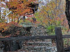 -天女山森林公园