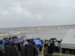 -观潮胜地公园