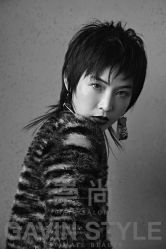 -崇尚GAVIN STYLE臻选