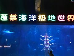 -蓬莱欧乐堡海洋极地世界