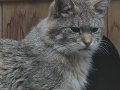 -青藏高原野生动物园