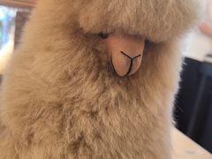 -番茄口袋(上海普陀区环球港店)