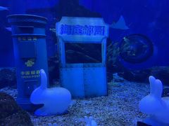 -海合安武汉极地海洋公园