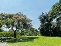 -中国科学院西双版纳热带植物园