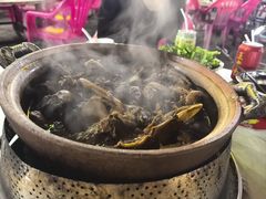 -霞姐屯昌枫木香草鸭店(海螺店)