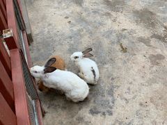 -江天生态园餐厅