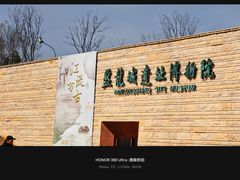 -盘龙城国家考古遗址公园