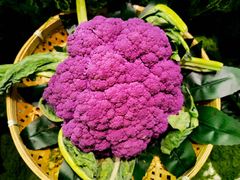 -花菇朵 ll 野生菌锅·精品滇菜(后沙峪店)