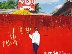 -阳台山自然风景区