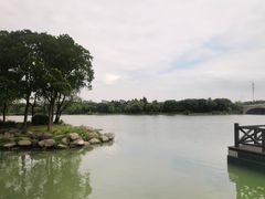 -长广溪湿地公园