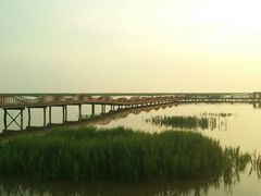 红海滩被海水淹没的景色-红海滩国家风景廊道