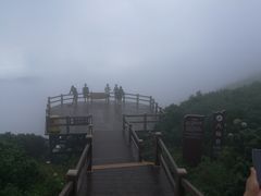 -凤凰山国家森林公园