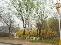 -北京工商大学(良乡校区)