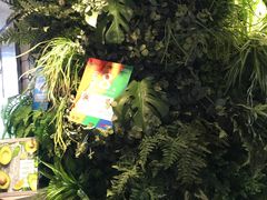 -每日新鲜水果吧(南京东路店)