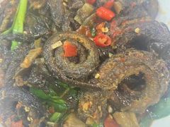 -大班家政月嫂育儿嫂(深圳NO.1店)