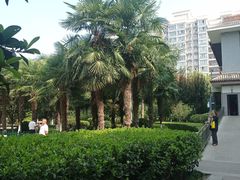 -莲湖公园