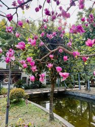 点击看大图 -莲生母婴月子中心(清水河公园店)