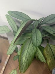 -众刺纹画·纹身·穿孔饰品·海娜定制