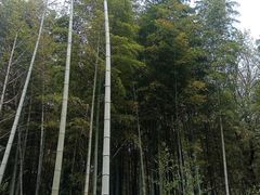 -宝岩生态观光园