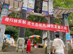 -苍山感通索道