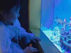 -北戴河圣蓝海洋公园