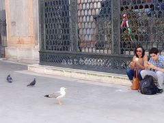 -圣马尔谷圣殿宗主教座堂