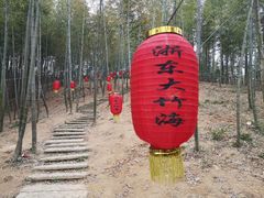 -宁波浙东大竹海景区