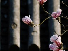 -颐和园