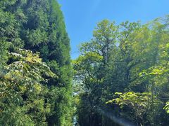 -重庆雨台山风景区