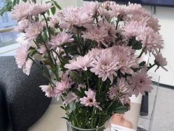 -JNK皮肤管理中心