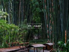 -望江楼公园